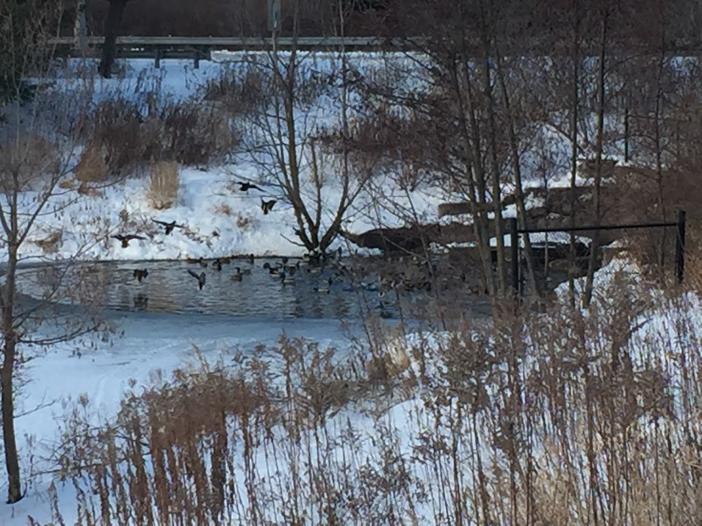 Stormwater Management Pond | Great Lakes Blvd, Oakville, ON L6L, Canada