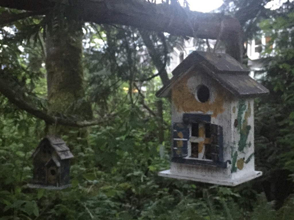 Fairy Lane | 6933 208B St Langley, BC ⚑ V2Y 0G3 208B St, Langley City, BC V2Y 2R7, Canada