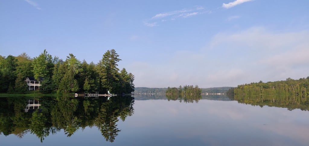 Debbie Reeve | 2544 Road 506 RR#2, Cloyne, ON K0H 1K0, Canada | Phone: (613) 336-0463