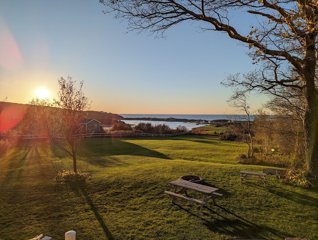 Dusky Diamonds | 21 Beach No 1 Rd, Inverness, NS B0E 1N0, Canada | Phone: (902) 258-5225