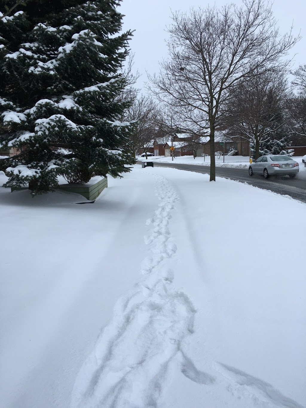 Village Park | Buchanan Dr, Unionville, ON L3R 4K7, Canada