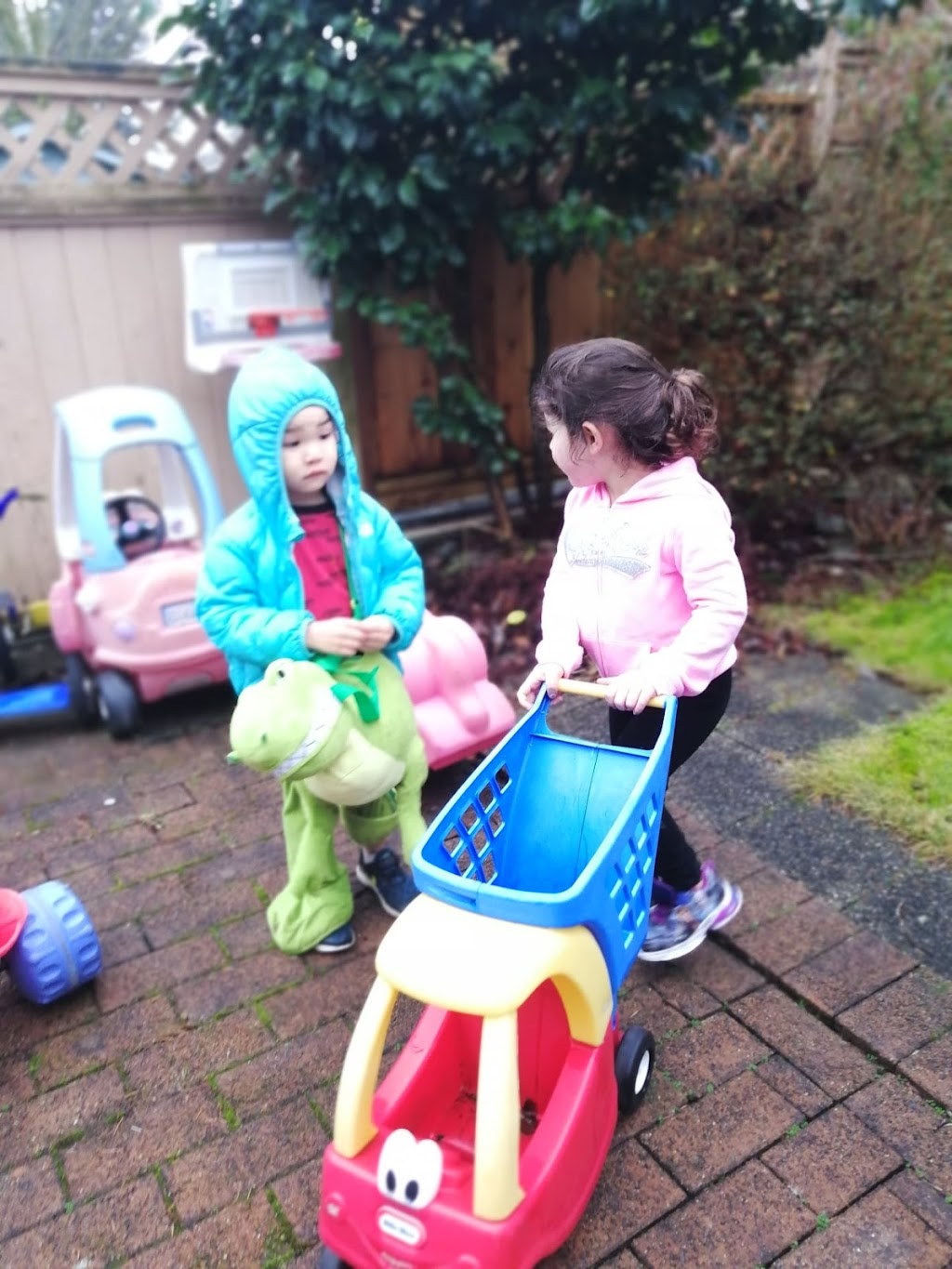 Mommy Goose Child Care | 1335 160a St, Surrey, BC V4A 7T7, Canada | Phone: (604) 314-7856