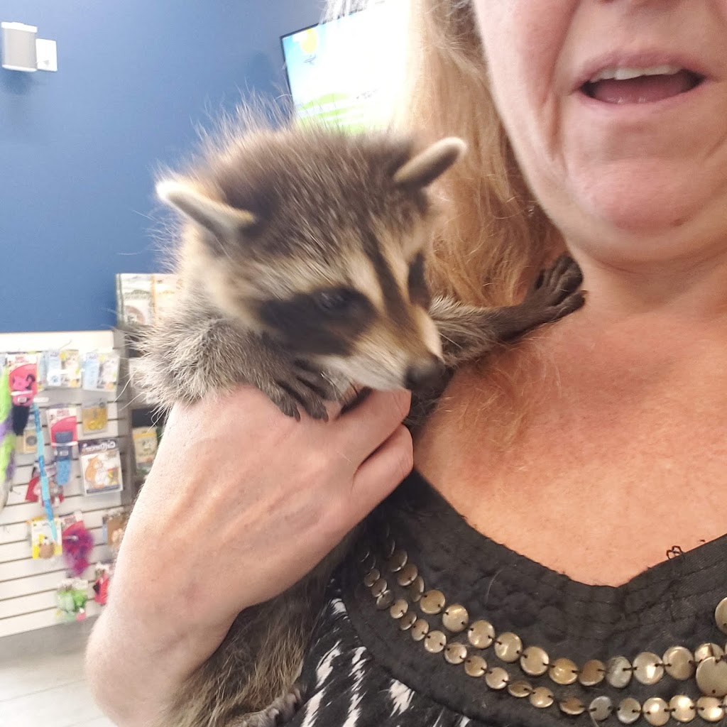 Veterinary Clinic Domaine Vert inc. | 11600 Montée Sainte Marianne, Mirabel, QC J7J 2A9, Canada | Phone: (450) 437-3337
