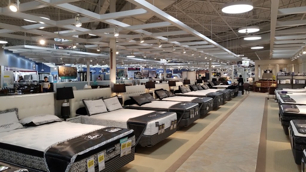 Leons | 201 Britannia Rd E, Mississauga, ON L4Z 3X8, Canada | Phone: (905) 501-9505