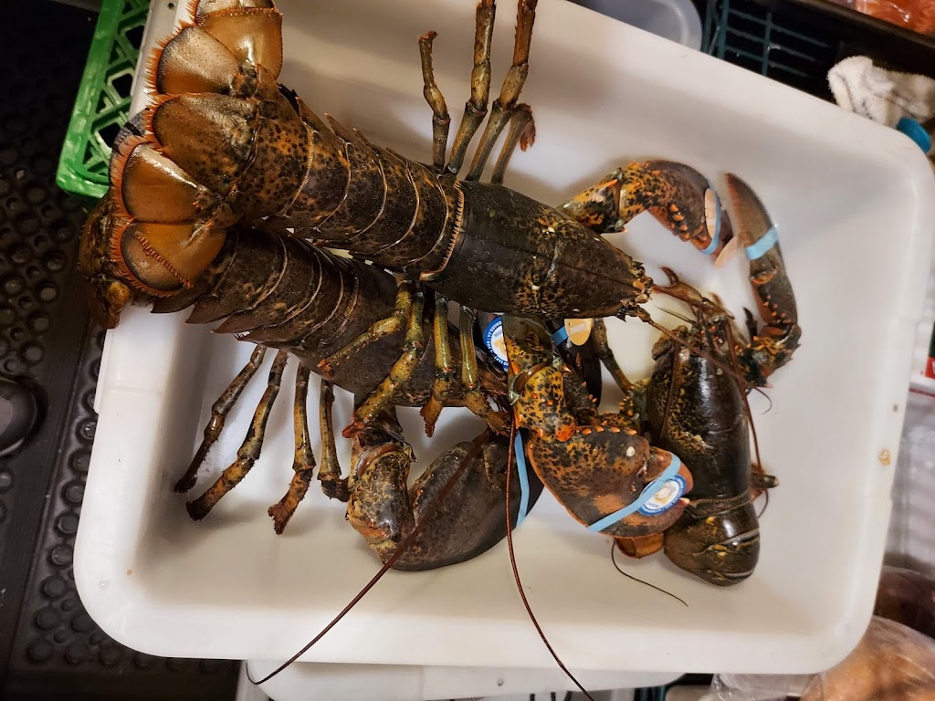 Restaurant Villa DEste | 7b Rue St Georges, Saint-Jérôme, QC J7Z 4Z1, Canada | Phone: (450) 431-1440