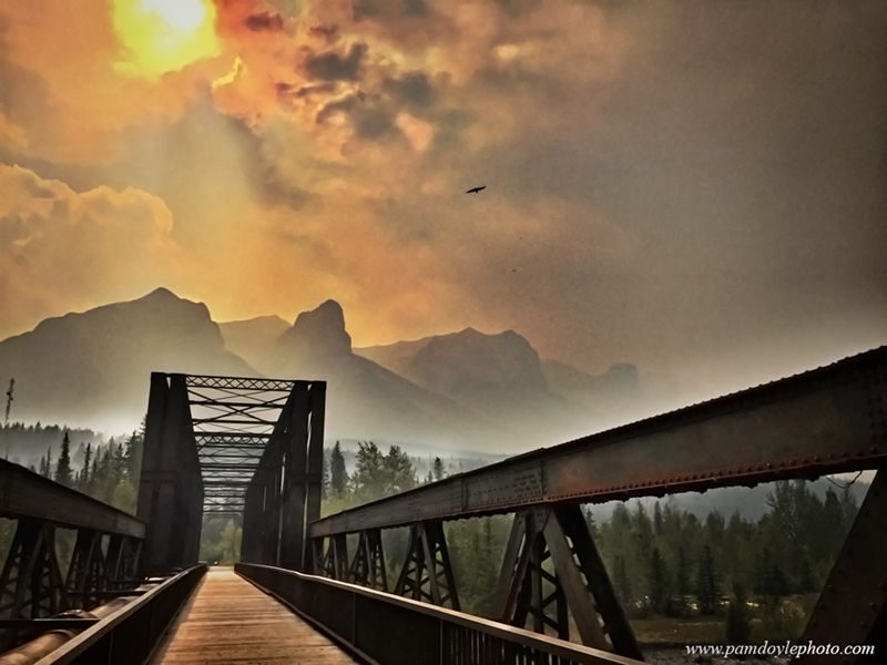 Photography by Pam Doyle | 700 Wilson Way, Canmore, AB T1W 2Y8, Canada | Phone: (403) 678-8492