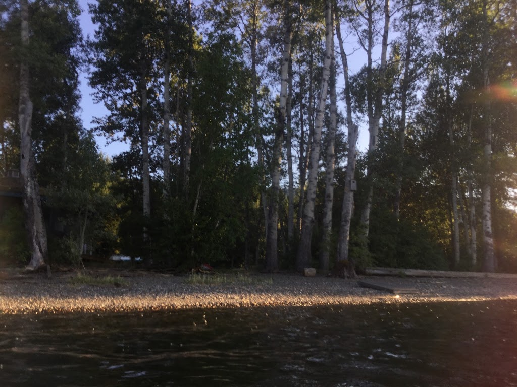 Wallis Environmental Consultants | 965 Garraway Rd, Sorrento, BC V0E 2W1, Canada | Phone: (250) 675-4444