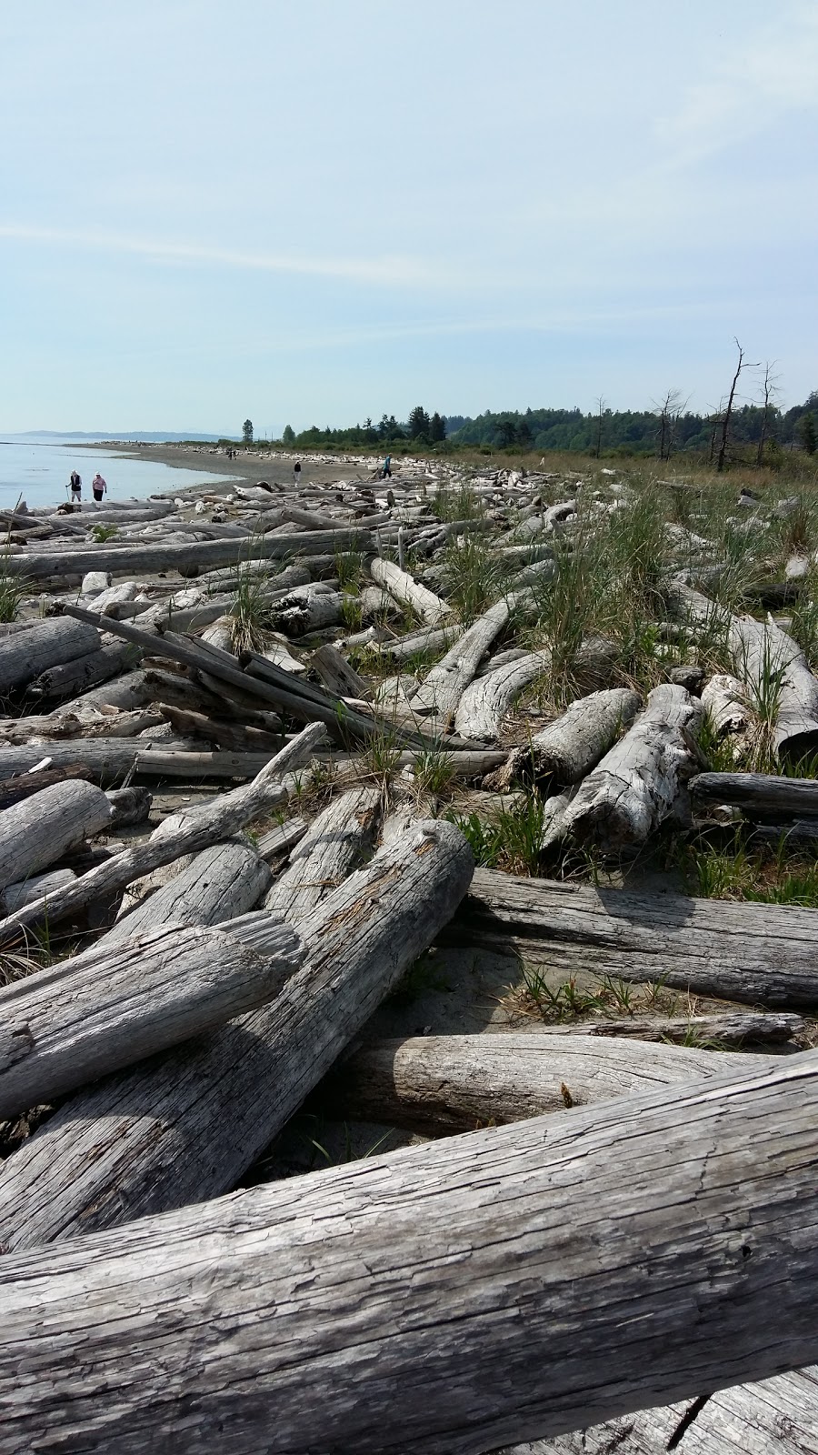 Island View Beach Regional Park | Island View Rd, Saanichton, BC V8M 1W3, Canada | Phone: (250) 478-3344