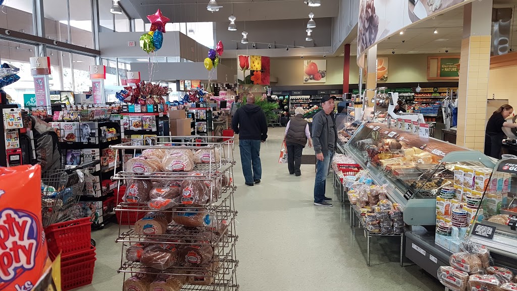 Metro | 1500 Royal York Rd, Etobicoke, ON M9P 3B6, Canada | Phone: (416) 244-7169