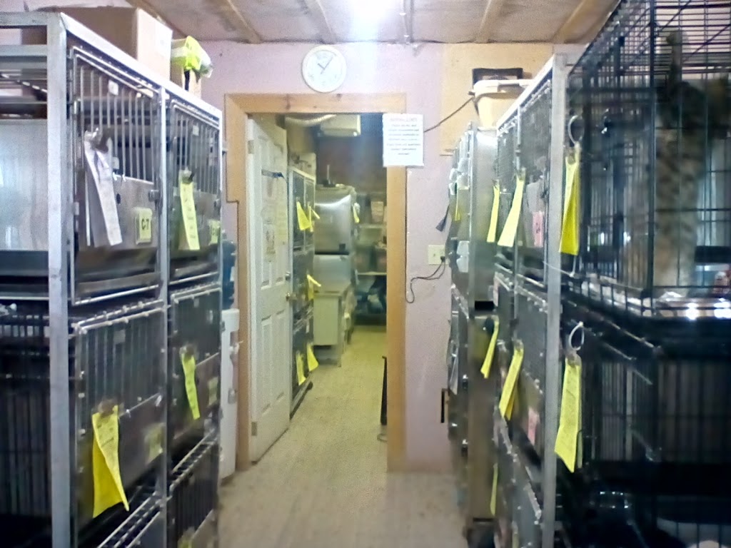 Simcoe and District Humane Society | 24 Grigg Dr, Simcoe, ON N3Y 4L1, Canada | Phone: (519) 428-9161
