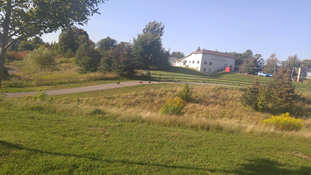 Kittiwake Park | 15 Kittiwake Dr, Stittsville, ON K2S 1Z5, Canada
