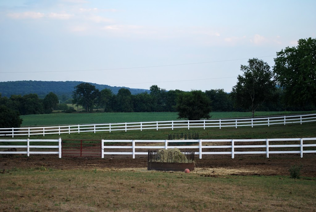 Pitcher Equestrian | 110 Pitchers Rd, Frankford, ON K0K 2C0, Canada | Phone: (613) 438-4025
