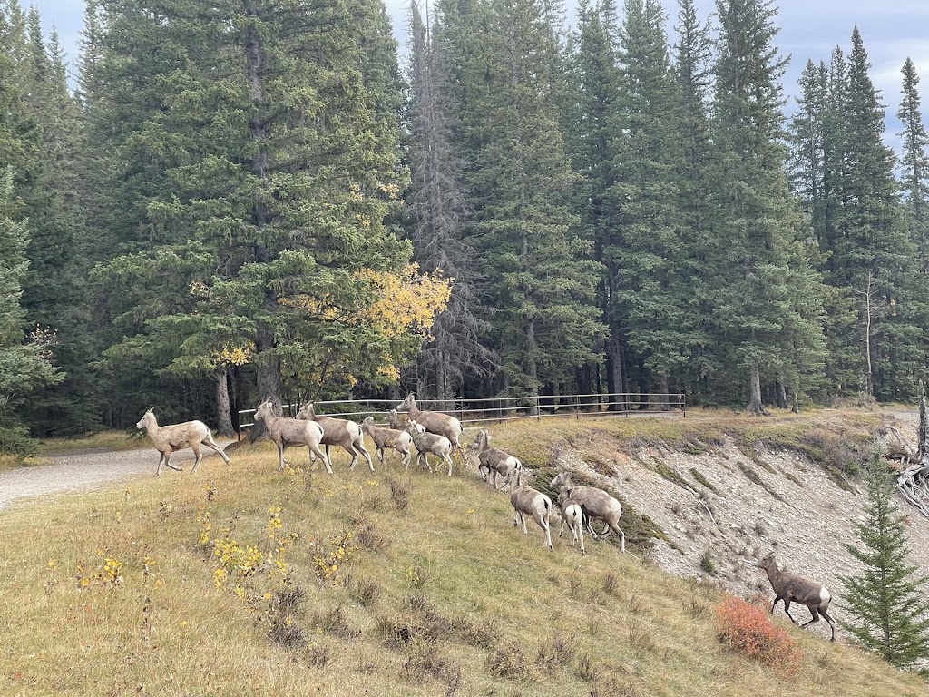 Ram Falls Provincial Park | Unnamed Road, Clearwater County, AB T0M 2H0, Canada | Phone: (403) 845-8349