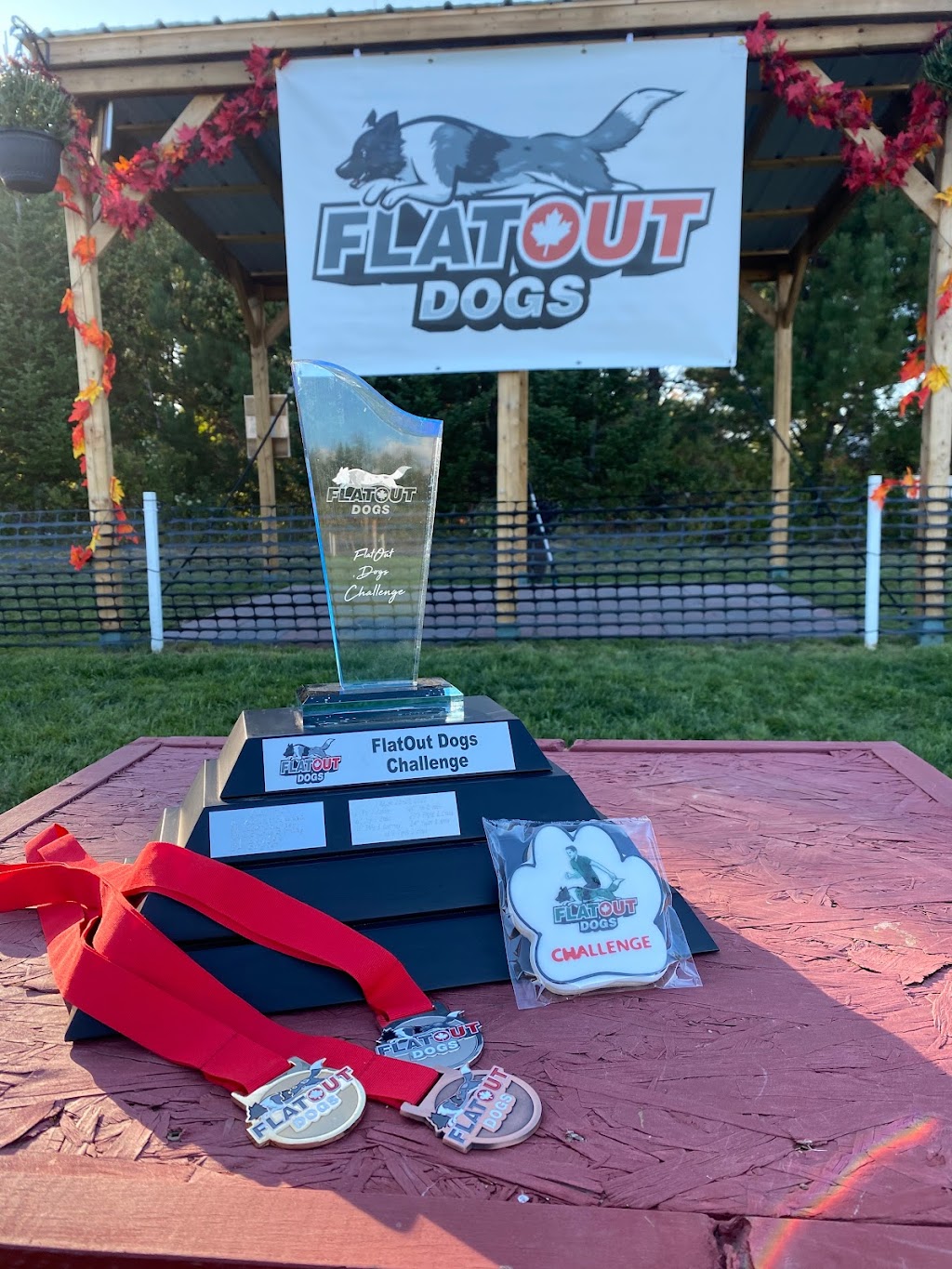 FlatOut Dogs | 6639 NB-15, Woodside, NB E4M 3X7, Canada | Phone: (506) 940-4018