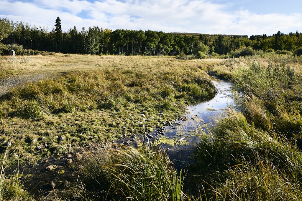 Highfield Land Management | 11410 27 St SE Suite #19, Calgary, AB T2Z 3R6, Canada | Phone: (403) 723-2106