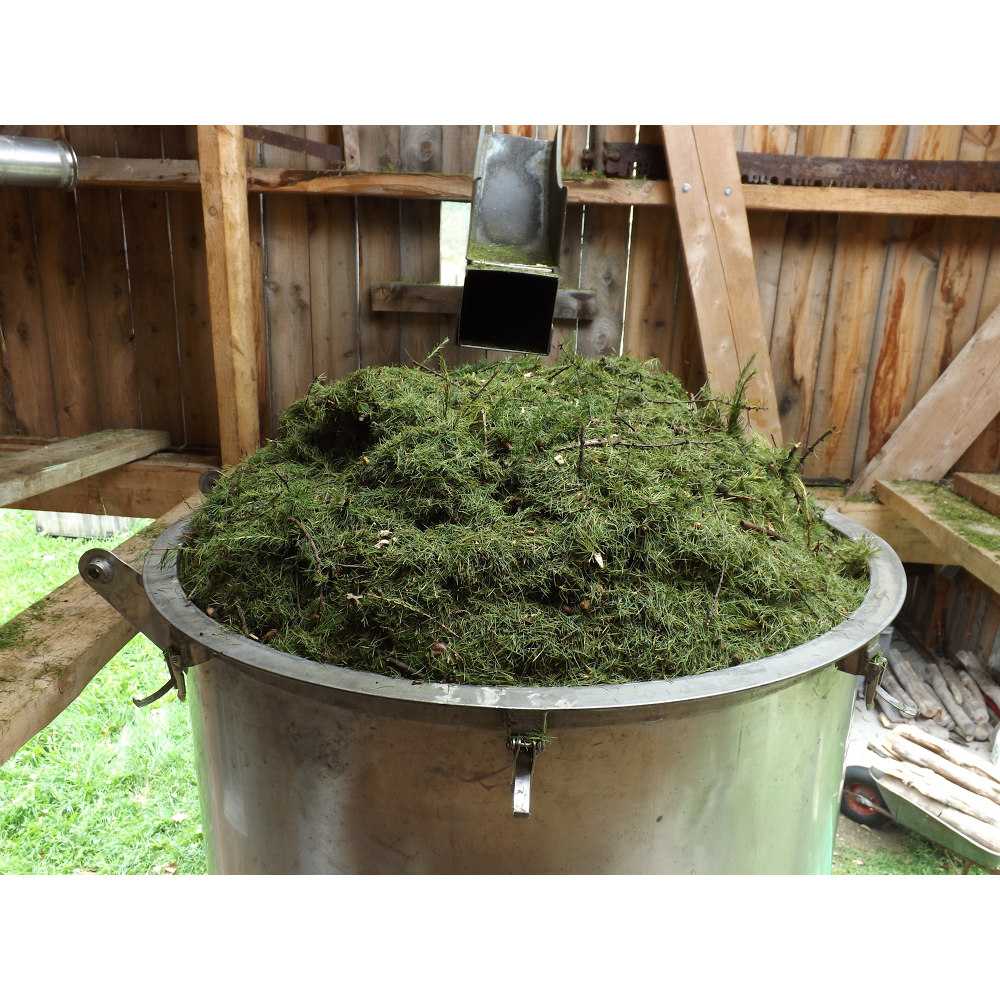 NATURESSENCE | 646,, 6 Chemin du 5 Rang, Saint-Claude, QC J0B, Canada | Phone: (819) 845-5803