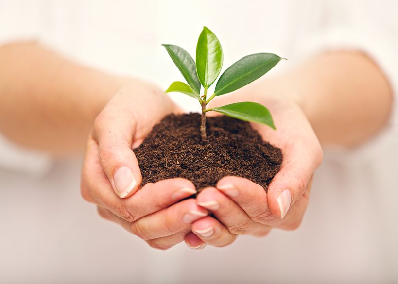 Ava Counselling and Psychotherapy | Unite 708, 1155 W Pender St, Vancouver, BC V6E 2P4, Canada | Phone: (778) 892-5727