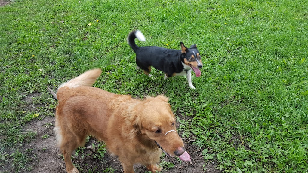 Westglen Boarding Kennels Ltd | 226 Ave 32nd St SW, De Winton, AB T0L 0X0, Canada | Phone: (403) 256-0806