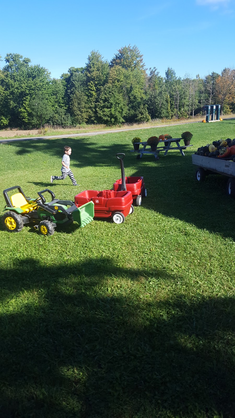 TJs Farm Fresh | 3010 Kossuth Rd, Cambridge, ON N3H 4R7, Canada | Phone: (519) 650-1007