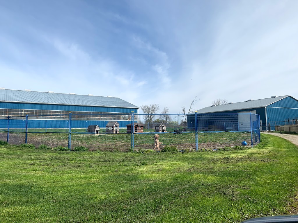 Kennel Land | 12527 Fifth Line Nass, Rockwood, ON N0B 2K0, Canada | Phone: (519) 853-9680