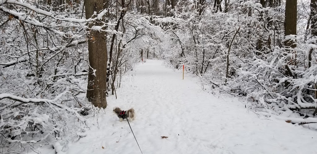 Spicer Creek Wildlife Management Area | Grand Island, NY 14072, USA