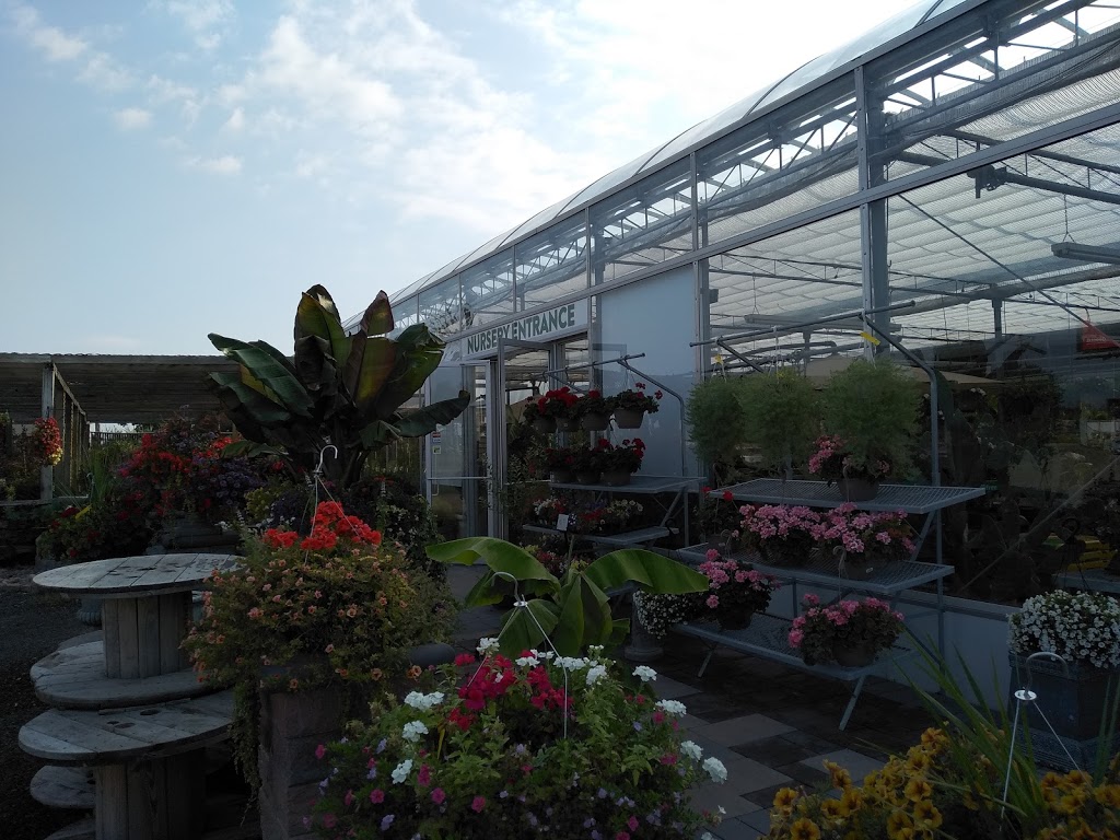Four Seasons Garden Centre | 2160 Albion Rd, Etobicoke, ON M9W 6P4, Canada | Phone: (416) 675-1041
