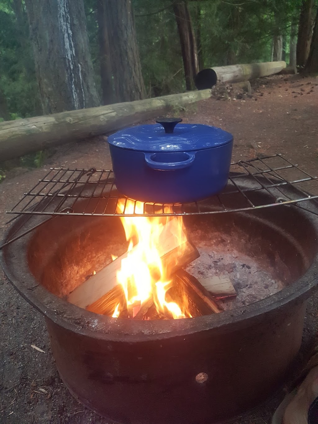 Westwood Lake R V Camping & Cabins | 380 Westwood Road, Nanaimo, BC V9R 6S5, Canada | Phone: (250) 753-3922