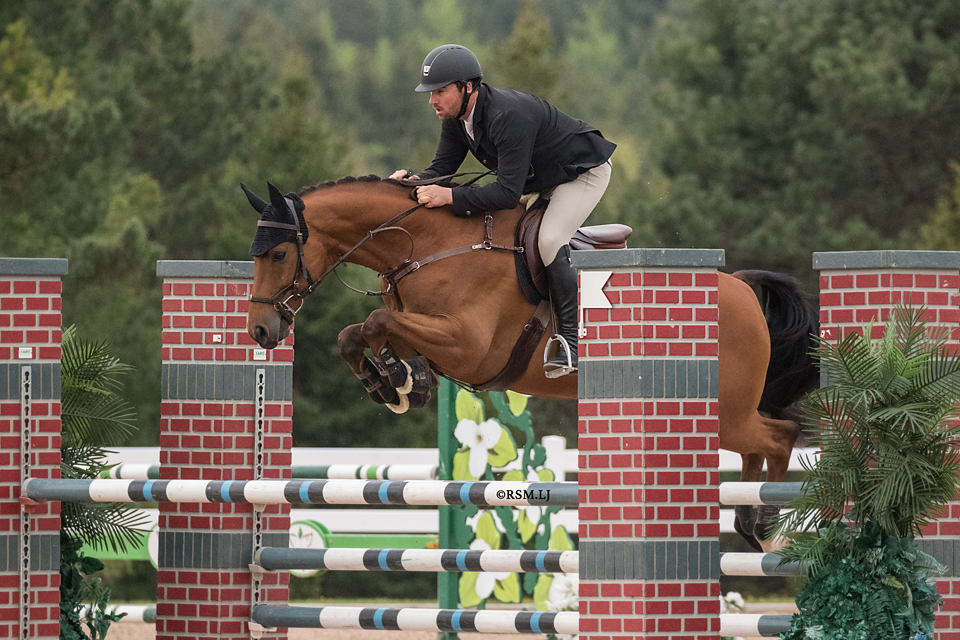 Crailin Stables | 14722 Heart Lake Rd, Inglewood, ON L7C 2J7, Canada | Phone: (519) 375-2337