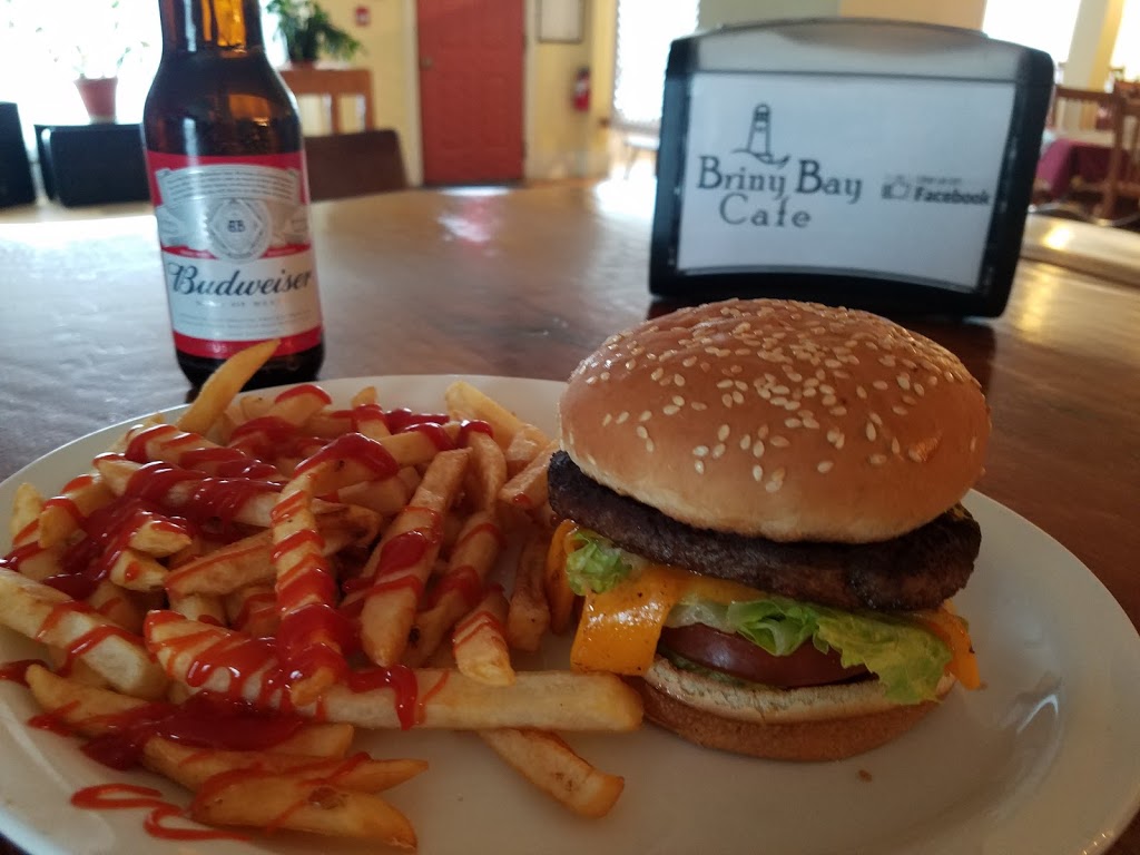Briny Bay | 951 Hwy 2, Nova Scotia Trunk 2, Five Islands, NS B0M 1K0, Canada | Phone: (902) 254-0860