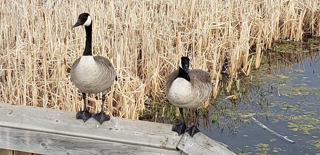 Kerry Wood Nature Centre | 6300 45 Ave, Red Deer, AB T4N 3M4, Canada | Phone: (403) 346-2010