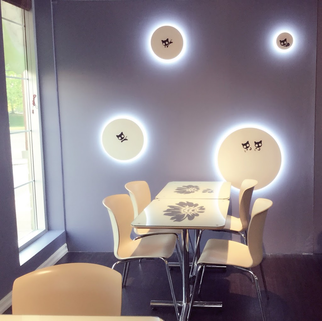 Wonder Bubble Tea Shop | 9699 Jane St, Maple, ON L6A 0A4, Canada | Phone: (289) 553-8168