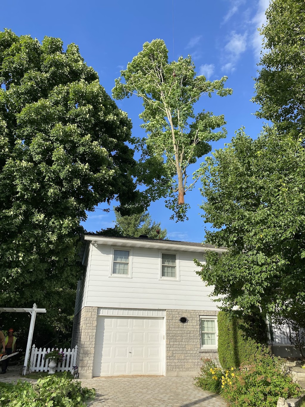 North Renfrew Tree Services Ltd | 11958 Round Lake Rd, Pembroke, ON K8A 6W8, Canada | Phone: (613) 732-5228