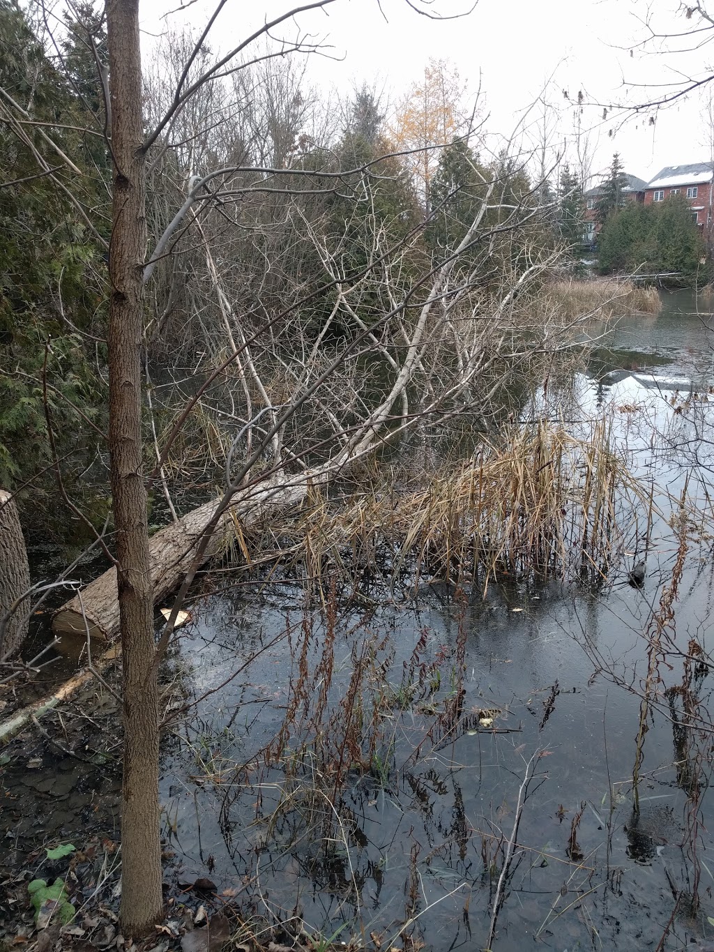 Lundy Park | Ballymore Dr, Aurora, ON L4G 7E5, Canada | Phone: (905) 727-1375
