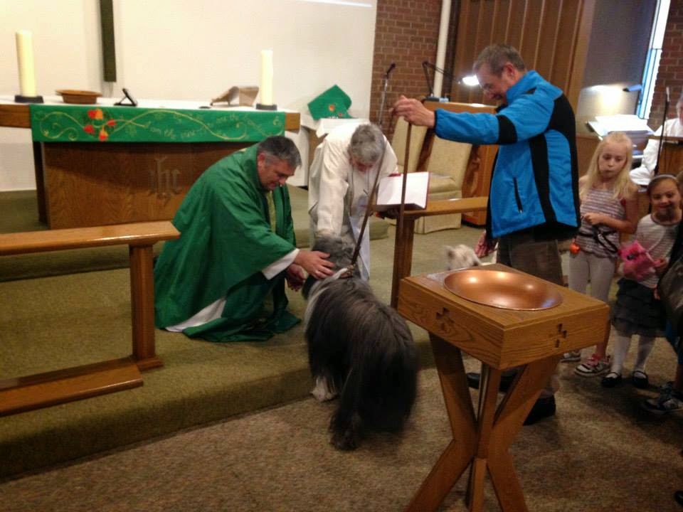 Holy Cross Lutheran Church | 3455 Lakeshore Rd, Burlington, ON L7N 1B5, Canada | Phone: (905) 637-2741