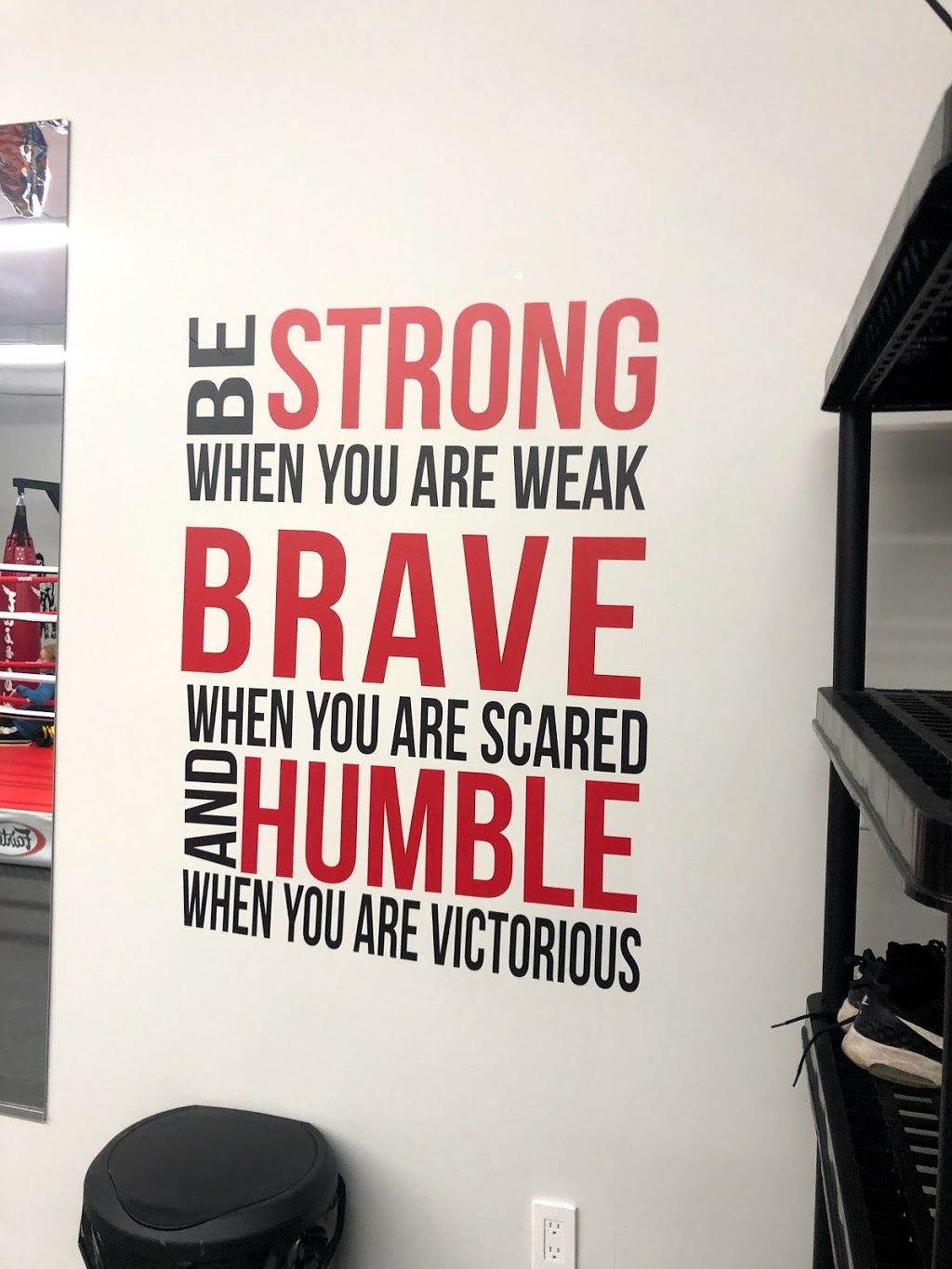 Spartan Striking Academy | 81 Luzon Ave, Markham, ON L6B 1N7, Canada | Phone: (647) 785-5873