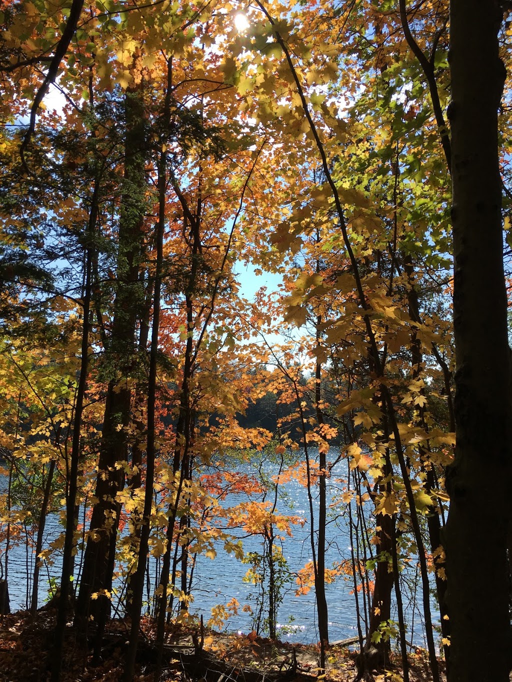Bond Lake | 12691 Yonge St, Richmond Hill, ON L4E 0K8, Canada
