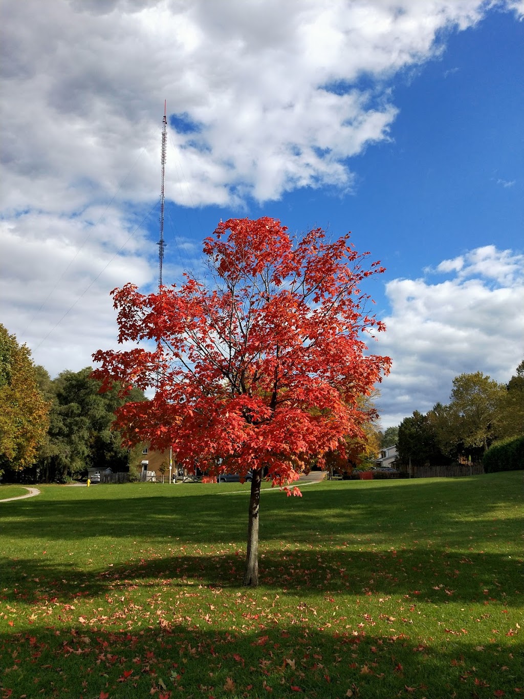 Arthur Ford Park | 671 Viscount Rd, London, ON N6J 2Y4, Canada | Phone: (519) 661-5575