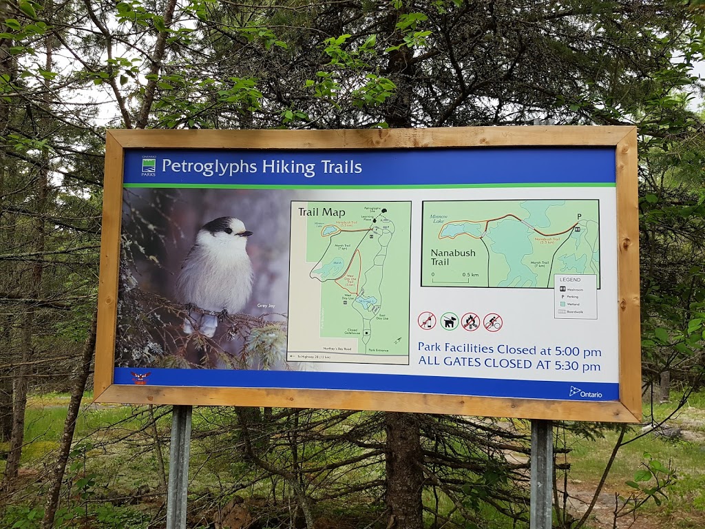 Petroglyphs Provincial Park | 2249 Northeys Bay Rd, Woodview, ON K0L 3E0, Canada | Phone: (705) 877-2552