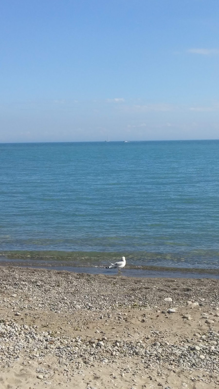 Woodbine Beach Park | 1675 Lake Shore Blvd E, Toronto, ON M4L 3W6, Canada