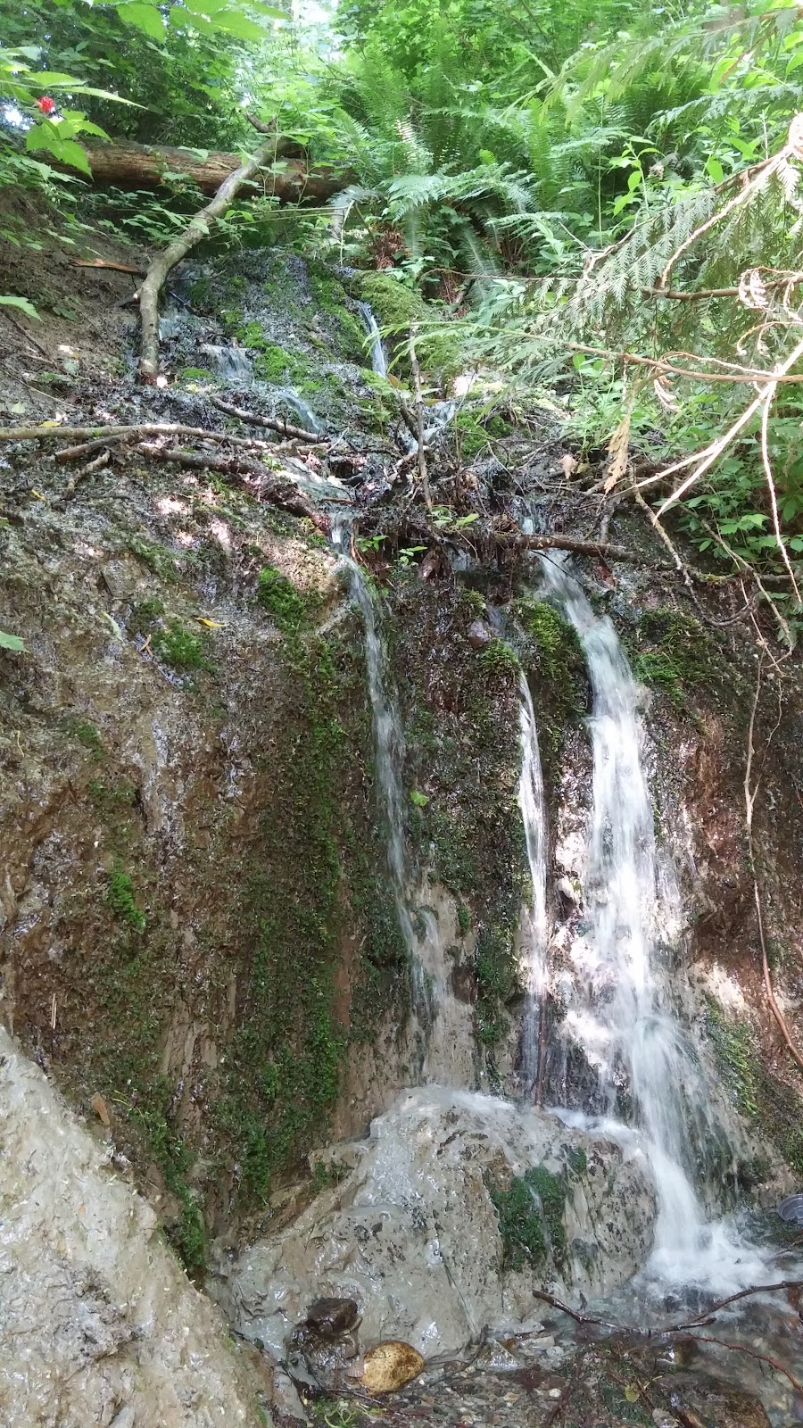 Aldergrove Regional Park | 27240 8 Ave, Aldergrove, BC V4W 2P8, Canada | Phone: (604) 530-4983