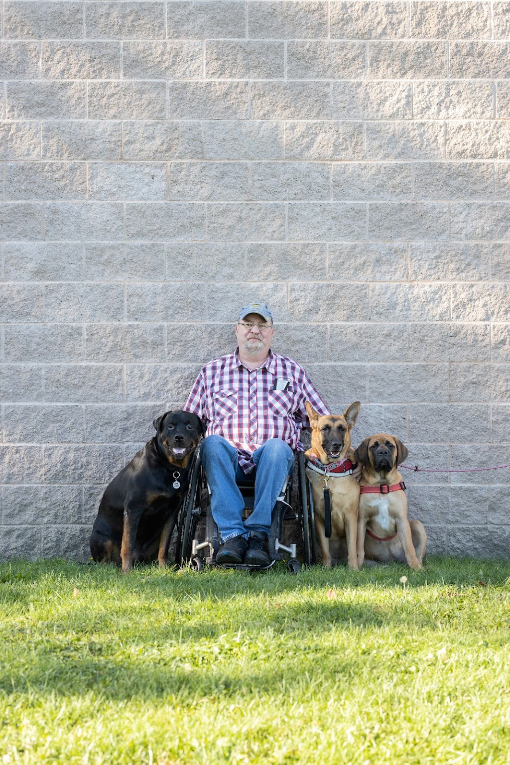 Centre Canin Pattes Roulantes inc. | 3666 Bd de la Cité-des-Jeunes, Vaudreuil-Dorion, QC J7V 8P2, Canada | Phone: (438) 497-5225