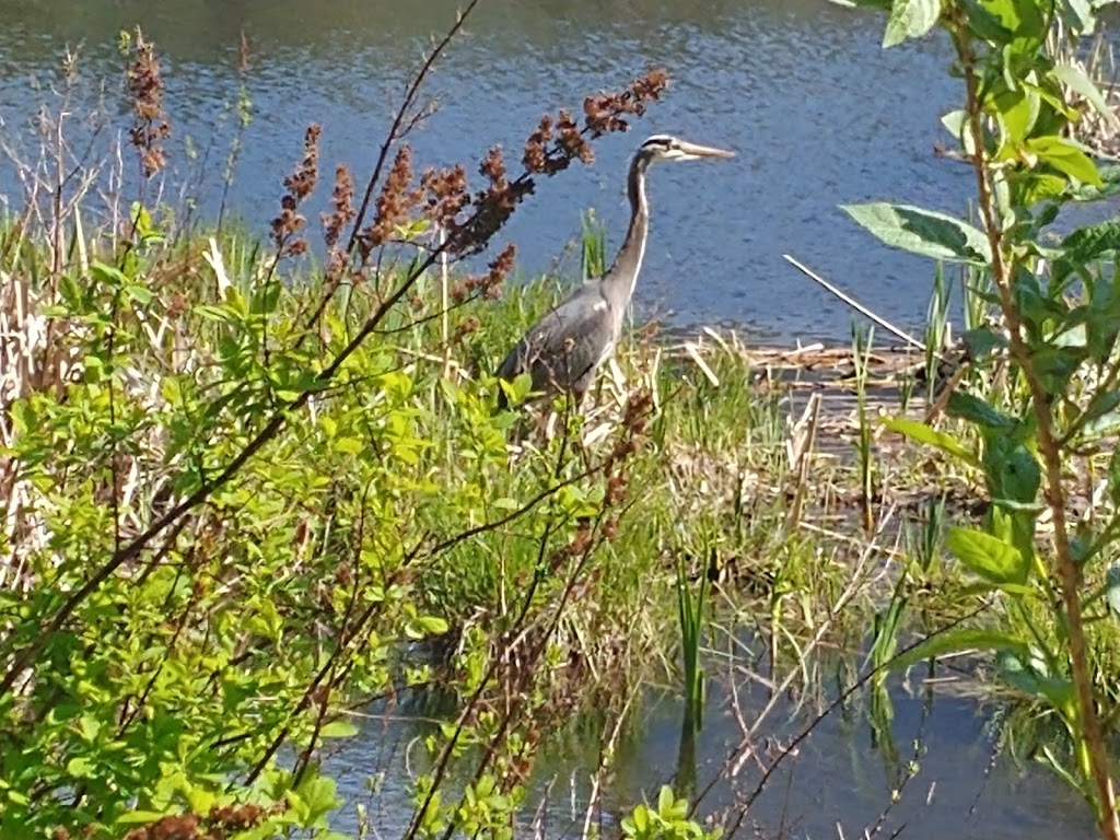 Thacker Regional Park | 20840 Union Bar Rd, Hope, BC V0X 1L1, Canada | Phone: (604) 702-5000