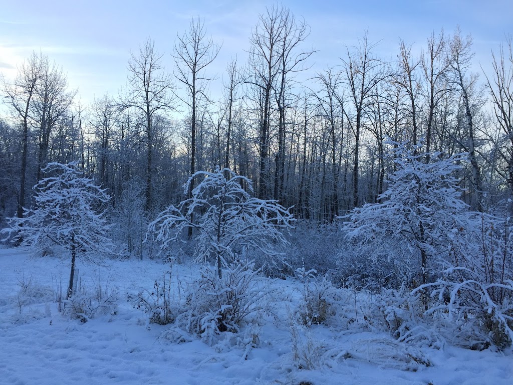 Terwillegar Park Footbridge | North Saskatchewan River,, Edmonton, AB, Canada | Phone: (780) 442-1377