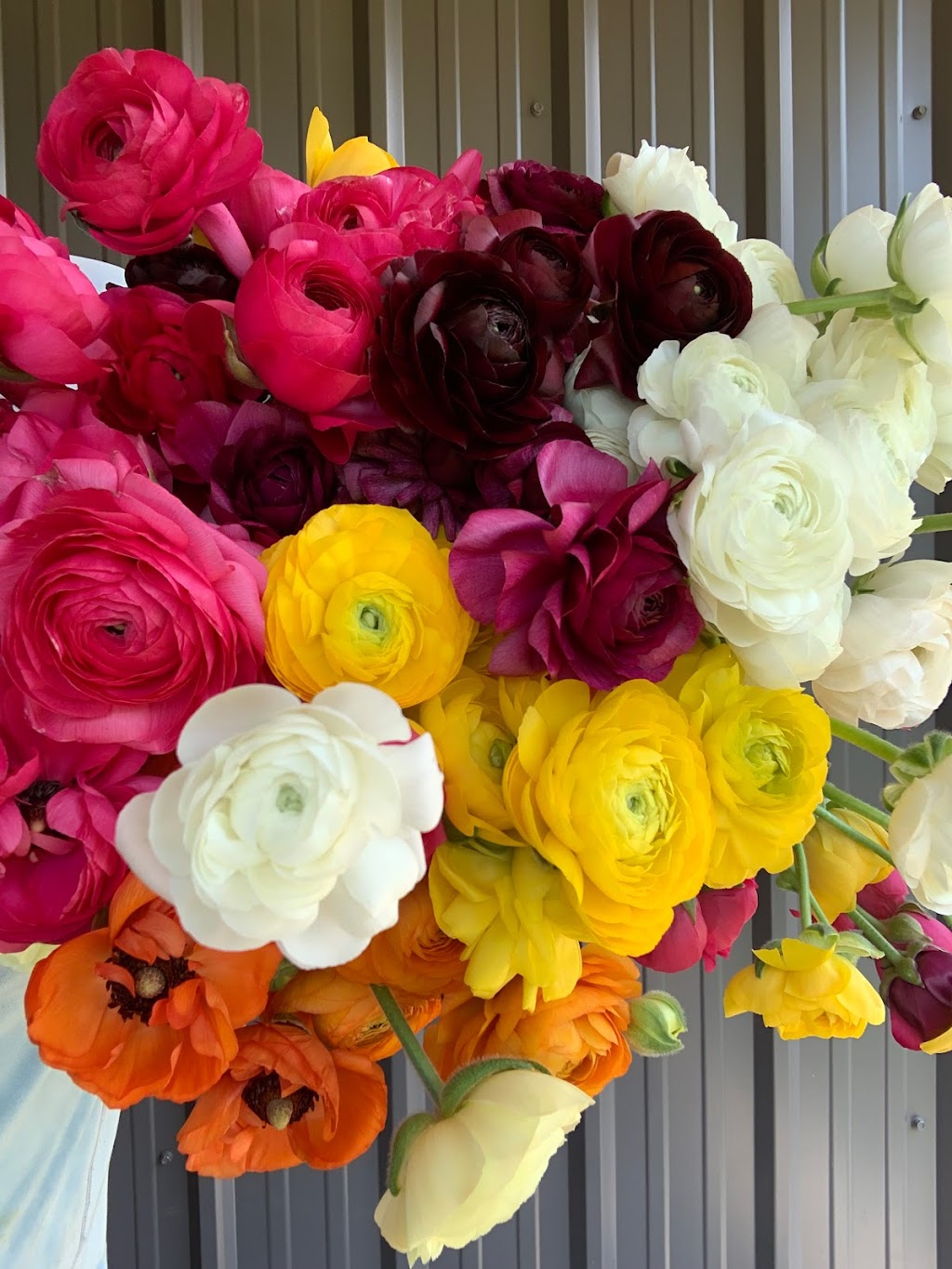 Castledale Flower Farm | 4792 BC-95, Castledale, BC V0A 1H7, Canada | Phone: (250) 272-1881