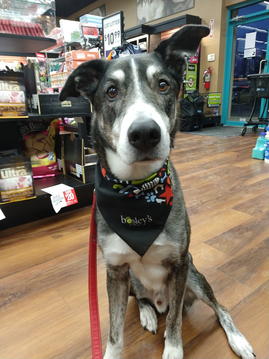 Bosleys Pet Supplies | 5263 Ladner Trunk Rd, Delta, BC V4K 1W4, Canada | Phone: (604) 946-1211