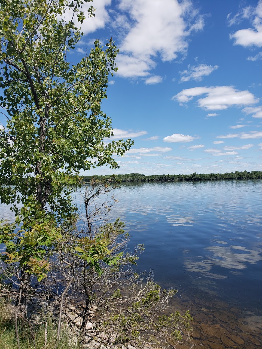 Massassauga Point Conservation Area | Prince Edward, ON K8N 4Z7, Canada | Phone: (613) 968-3434