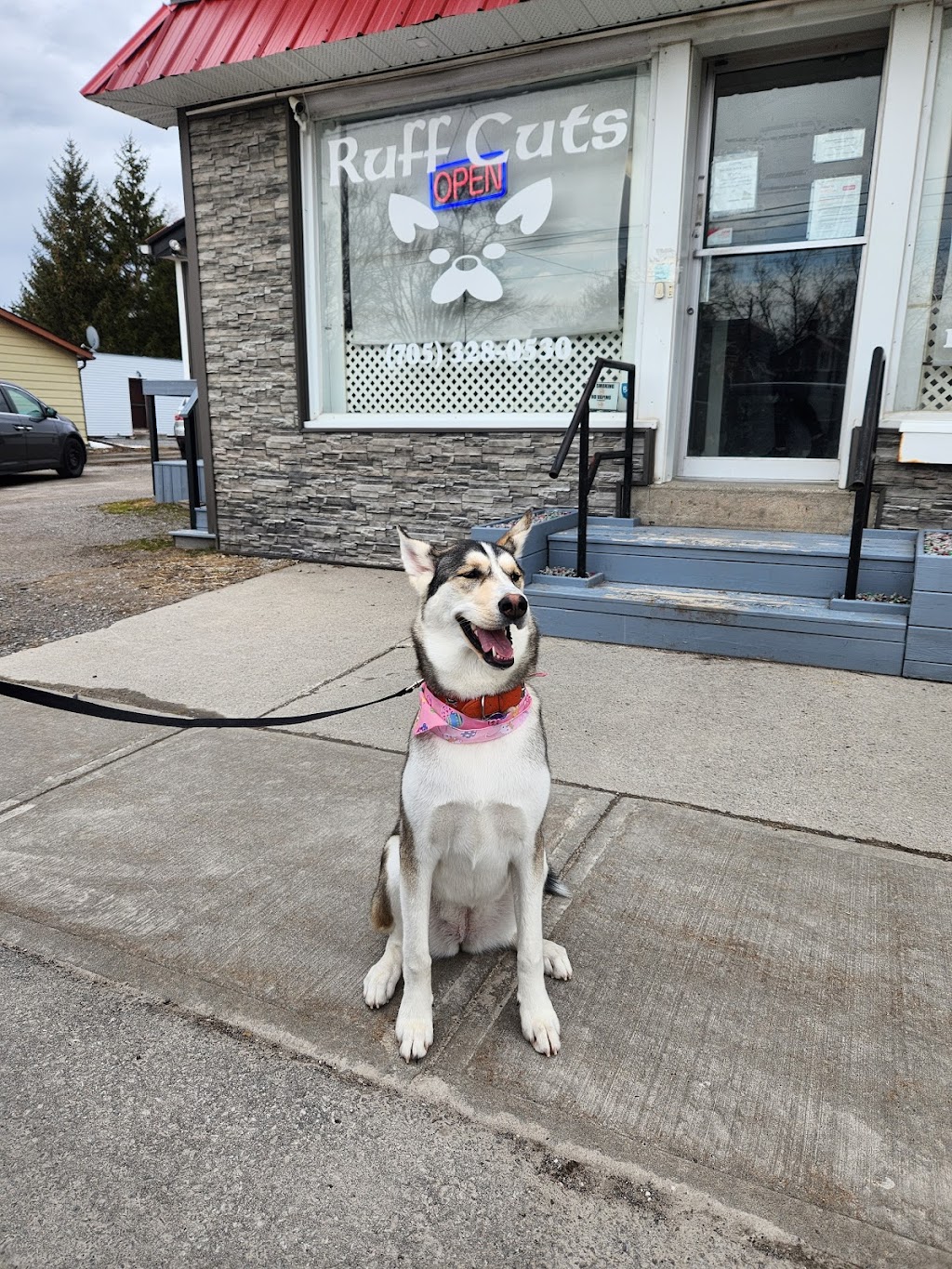 Ruff Cuts Dog Grooming | 110 Queen St, Lindsay, ON K9V 1G8, Canada | Phone: (705) 328-0530