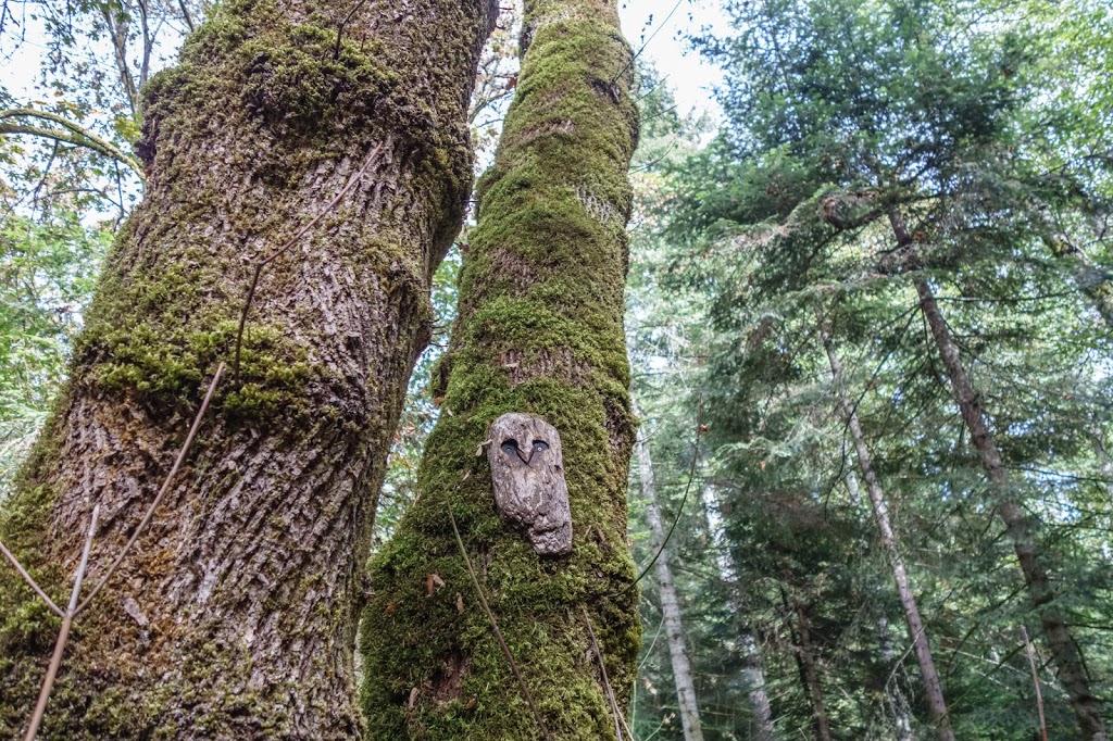 Cable bay trail | 2705 Nicola Rd #2645, Nanaimo, BC V9X 1N4, Canada | Phone: (250) 754-4251