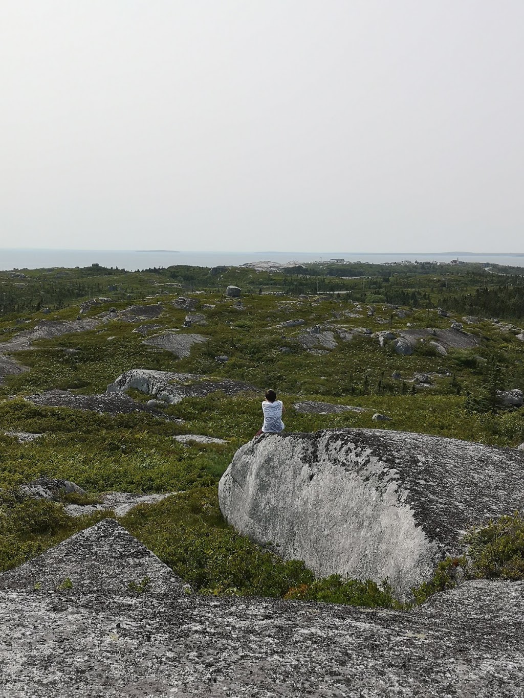 Pollys Cove Trail | Pollys Cove Trail, West Dover, NS B3Z 3S3, Canada