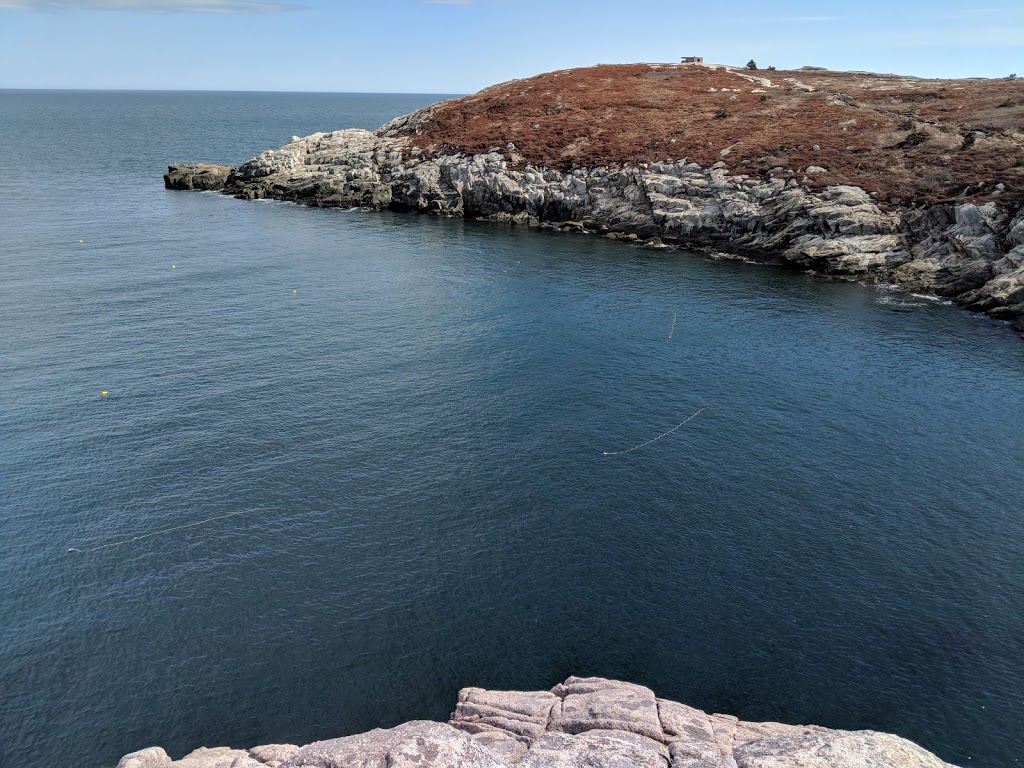 Duncans Cove Nature Reserve | Duncans Cove, NS B3V 1K4, Canada